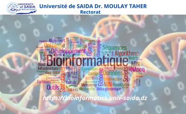 Création d&rsquo;un site web Bioinformatics
