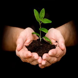 🌳 حملة تشجير كلية العلوم والتكنولوجيا
